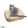 Pet Comfort Coussin pour animaux Lit pour animaux de compagnie 60x48x18cm photo 3