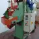 Campesato NSC11 – Machine d’emballage professionnelle pour fruits et légumes – 8 tonnes/heure ! photo 2