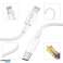 Alogy cargador rápido USB-C PD 20W + Cable Lightning 1m Blanco fotografía 5