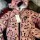 Crème Kids d’occasion neuve pour les enfants automne hiver photo 2