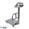 150 KG LAGERWAAGE INDUSTRIAL COMMODITY STORE PLATFORM LEISTUNGSSTARKES LCD ONDRAGON Bild 2