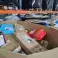 DHL neprašytas kurjeris - AMAZON - EBAY - elektroninė prekyba - Nauji produktai - Aukšta kokybė - NPAI - SLAPTAS PAKETAS - PASLAPTINGAS PAKETAS - nuotrauka 2