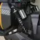 City Coco Scooter Chopper Citycoco SMARDA SUPER701 foto 3
