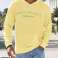 Heren Hoodies: All Seasons – Maten 38 t/m 56 – Groothandel vanaf €2,80 per stuk foto 1