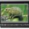 70 x EIZO ColorEdge CG241W 1920x1200p VA monitoren zonder beugel foto 2