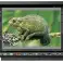 19 x EIZO ColorEdge CG241W 1920x1200p VA Monitors without B-Mount image 1