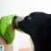 Pet Dream House Paw 2-in-1 Orange Easy (Slow Feeder) Bild 1