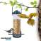 Hanging bird feeder PTAKO image 2