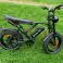 Γρήγορο ηλεκτρικό ποδήλατο 20 ιντσών 1000W Power E-Bike εικόνα 3