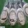 VORWERK VK150 NEW PIXIE image 5