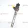 NIEUWE ORIGINELE INJECTOR INJECTIE Bosch 0445110471 0986435257 foto 1