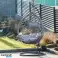 Sedia Sospesa Cocoon Swing con Cuscini KR26 SEDIA A DONDOLO DA GIARDINO IN COCCO CON CUSCINI foto 1