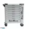 Trolley PRO Kraft Muller 8/8 TOOL cinza com empurradores de pistão KM-1745 foto 2