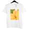 DK COMPANY MIX FEMMES&amp;#039 ; S COLLECTION - À PARTIR DE 4,66 EUR / PIÈCE photo 4