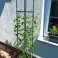 SODO PERGOLA TERASA METALINĖ ATRAMA ROŽIŲ VIJOKLIAMS KOLONA 190cm nuotrauka 4