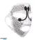 Maschera facciale RAIREX EMS | Liquidazione delle scorte | Maschera di bellezza riutilizzabile con microcorrente EMS | Certificato CE foto 1