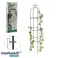 SODO PERGOLA TERASA METALINĖ ATRAMA ROŽIŲ VIJOKLIAMS KOLONA 190cm nuotrauka 1