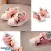 Zapatos para niños pequeños Tippy Toes (gris) - bbys | Zapatos de bebé suaves | Primeros zapatos cómodos fotografía 2
