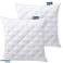 GESTEPPTES KISSEN 70x80 ANTIALLERGISCH MEDIZINISCH DICKER REISSVERSCHLUSS MIKROFASER (PMPM7080) Bild 1