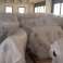Super Stock NATUZZI – 939 stykker Made in Italy – Showroom-mulighet! bilde 6