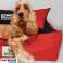 Hundebett Laufgitter KINGDOG 130x105 cm Personalisiert Wasserdicht Dunkelgrau Bild 6