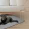 Hundebettmatte 120x80 cm Grau Codura Wasserdicht Bild 3