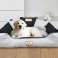 Hondenmand box KINGDOG 55x45 cm Gepersonaliseerd Waterdicht Lichtgrijs foto 3