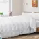 Bettdecke & 2 Kissen 70x80 160x200 cm Ganzjährig antiallergisch gesteppt weiß Bild 1