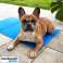 Gel cooling mat for animals 60x100 cm image 3