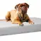 Colchón ortopédico de espuma para cama para perros XL 120x80x15 cm Impermeable fotografía 6