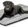 Hundebett MAT 80x60 cm Polar Bones Antirutsch Bild 5