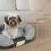 Lit pour chien OVALE 100x75 cm Personnalisé Imperméable Gris photo 6