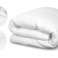 Antiallergén paplan Duo All Year Round Double 160x200 2 párna 70x80 kép 1