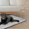 Hundebett MAT 80x60 cm Polar Bones Antirutsch Bild 1