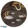 Koiran sänky vedenpitävä Cushion Bones Golden Bed M 80x60 cm kuva 4