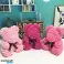 Charmig Rose Teddy Bear Den tidlösa gåvan av kärlek och tacksamhet för din butik Vit variant bild 3