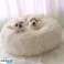 Pet Lover's Choice: Fantastisk profitpotentiale: Bærbar kæledyrsseng Puffy billede 3