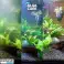 Transform Your Aquarium Maintenance with AlgaCure The Ultimate Algae Solution image 1