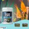Transform Your Aquarium Maintenance with AlgaCure The Ultimate Algae Solution image 3