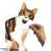 SuckUK Cat Snap Photo Pet Tilbehør Sett med 25 bilde 1