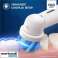 Oral-B Pro Disney Princess - 3 têtes de brosse - Remise sur volume photo 3