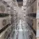 Pose des copeaux tout le camion !!!!!!!!! ------------»Quantité : 33 Palettes (76032 unités) photo 5