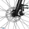 Vélo électrique Grundig City Trekking ETB2800 250W 36V 14.7Ah 7 vitesses Shimano Drive 110km Autonomie photo 3