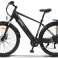 Vélo de trekking à assistance électrique Asia Kingston28M NASA SPACE 250W 25km/h 13Ah 28" roues, dérailleurs Shimano 7 vitesses photo 1