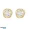 Boucles d’oreilles en acier inoxydable plaqué or KST3294 Femme&amp;#039 ; s boucles d’oreilles en plaqué or photo 1