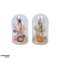Dried flowers in bell jars of different sizes and dried flowers image 2