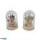 Dried flowers in bell jars of different sizes and dried flowers image 4