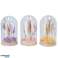 Dried flowers in bell jars of different sizes and dried flowers image 5