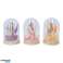 Dried flowers in bell jars of different sizes and dried flowers image 6