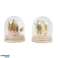 Dried flowers in bell jars of different sizes and dried flowers image 3